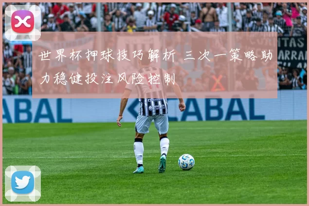 世界杯押球技巧解析 三次一策略助力稳健投注风险控制
