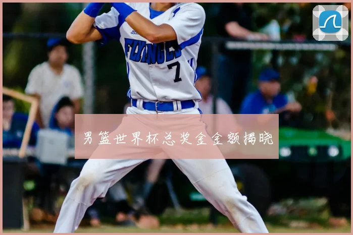 男篮世界杯总奖金金额揭晓